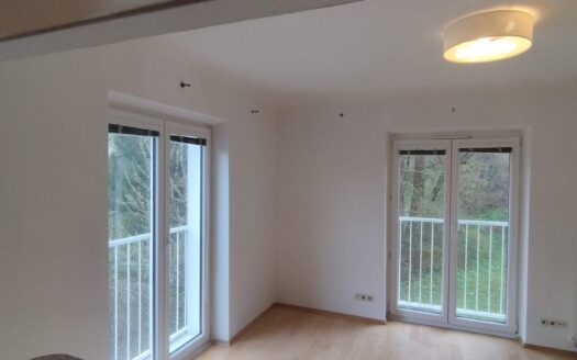 Charmante 2-Zimmer-Wohnung beim Pötzleinsdorfer Schlosspark – Ruhelage & Grünblick! 🌿