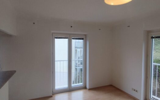 Charmante 2-Zimmer-Wohnung beim Pötzleinsdorfer Schlosspark – Ruhelage & Grünblick! 🌿